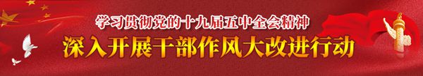 外国人来华工作服务管理系统_外国人来华工作管理服务系统_外国来华旅游签证