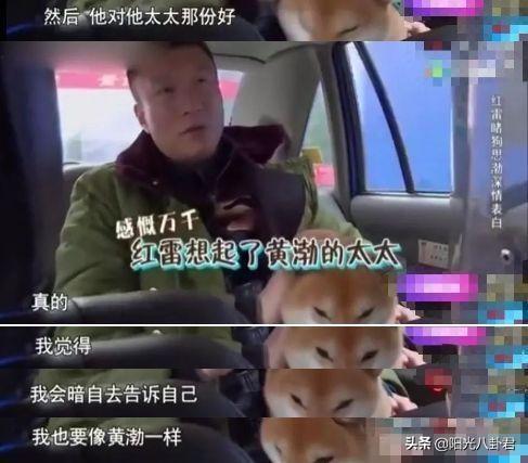 黄渤林志玲_林志玲 黄渤_金马奖林志玲戏吻黄渤
