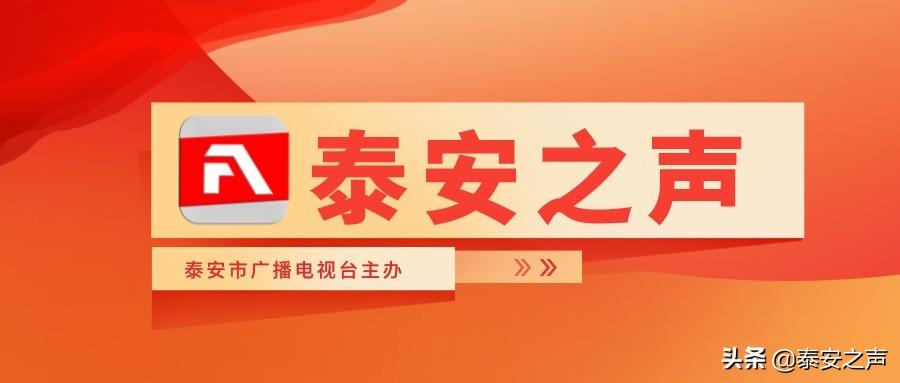 泰安长城中学_泰安长城中学2015高考_泰安长城中学校歌