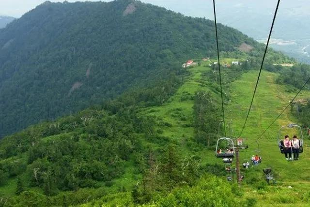 菏泽去河南一日旅游推荐_夏天去哪里旅游最好相关推荐_黑龙江旅游必去十大景点推荐