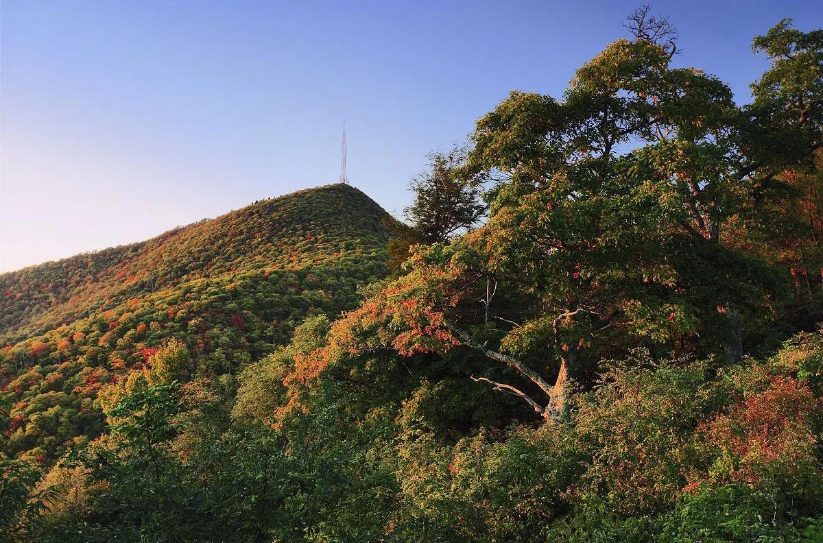 菏泽去河南一日旅游推荐_黑龙江旅游必去十大景点推荐_夏天去哪里旅游最好相关推荐