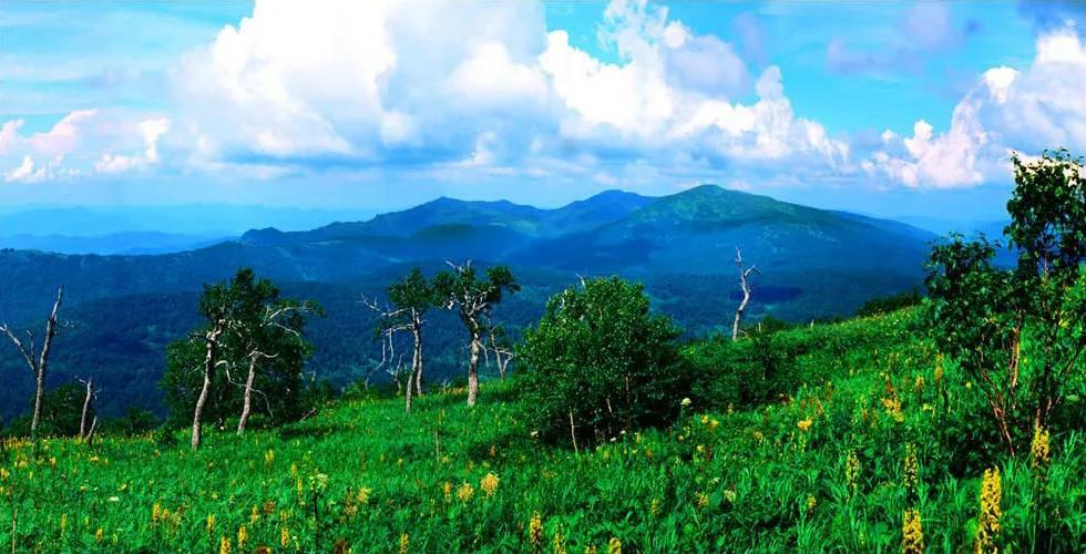 夏天去哪里旅游最好相关推荐_菏泽去河南一日旅游推荐_黑龙江旅游必去十大景点推荐