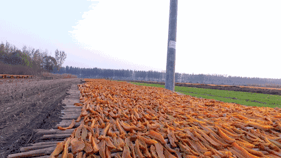 自制大虾酥糖视频_大虾酥糖配料表_大虾酥糖