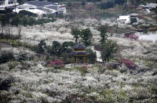 杭州周边好玩的旅游景点推荐_凤凰周边哪些景点好玩_银川周边哪个景点好玩