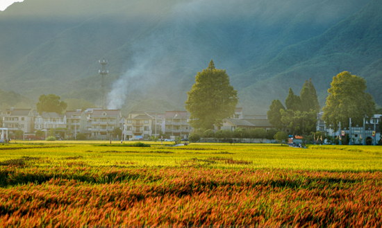 凤凰周边哪些景点好玩_杭州周边好玩的旅游景点推荐_银川周边哪个景点好玩
