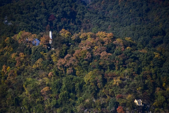 凤凰周边哪些景点好玩_银川周边哪个景点好玩_杭州周边好玩的旅游景点推荐