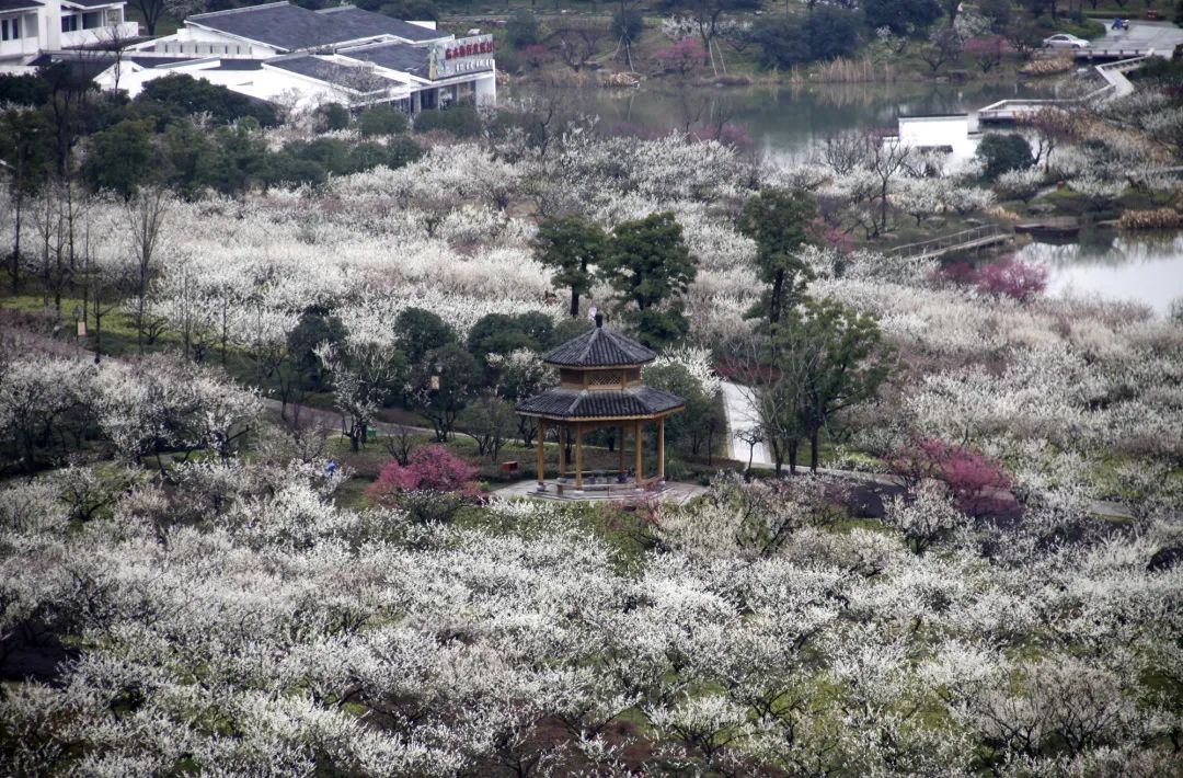 杭州周边好玩的旅游景点推荐_南宁景点周边哪里好玩_柳州周边那些景点好玩