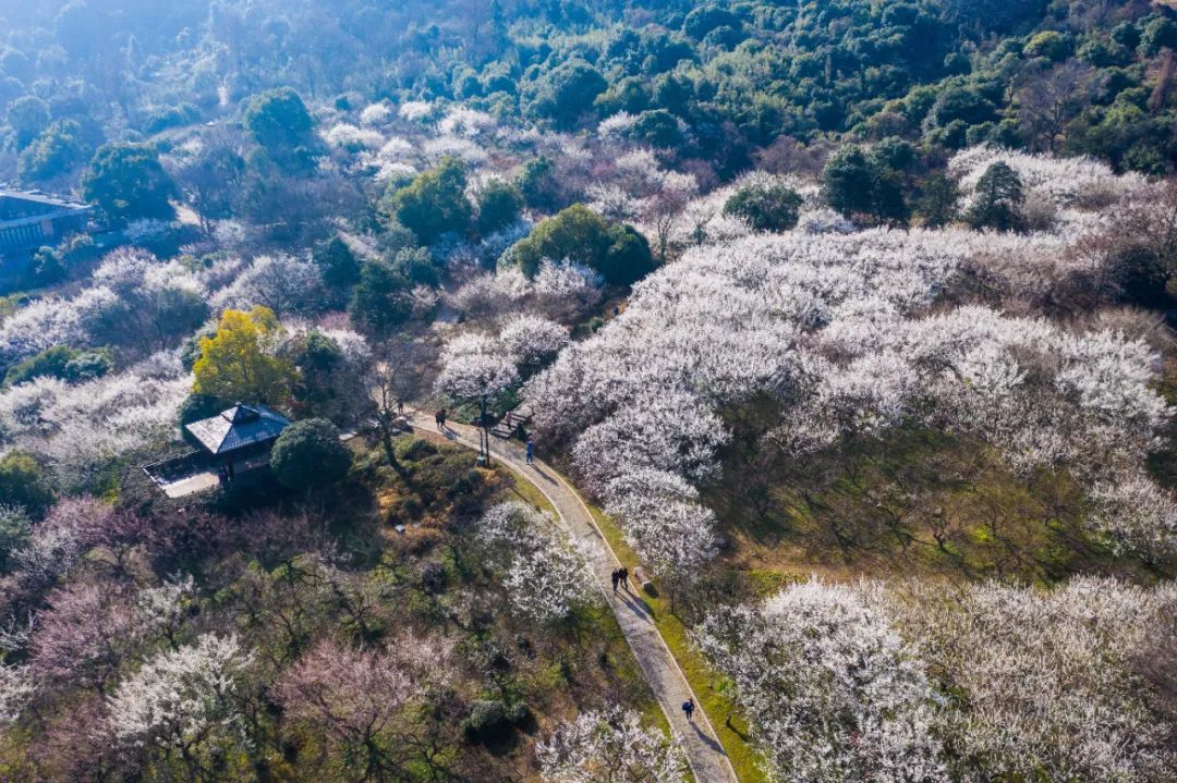 南宁景点周边哪里好玩_杭州周边好玩的旅游景点推荐_柳州周边那些景点好玩