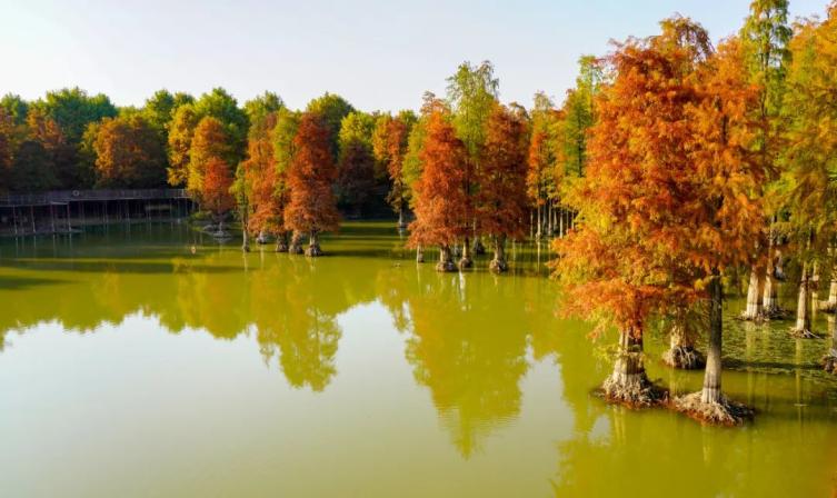 南宁景点周边哪里好玩_柳州周边那些景点好玩_杭州周边好玩的旅游景点推荐