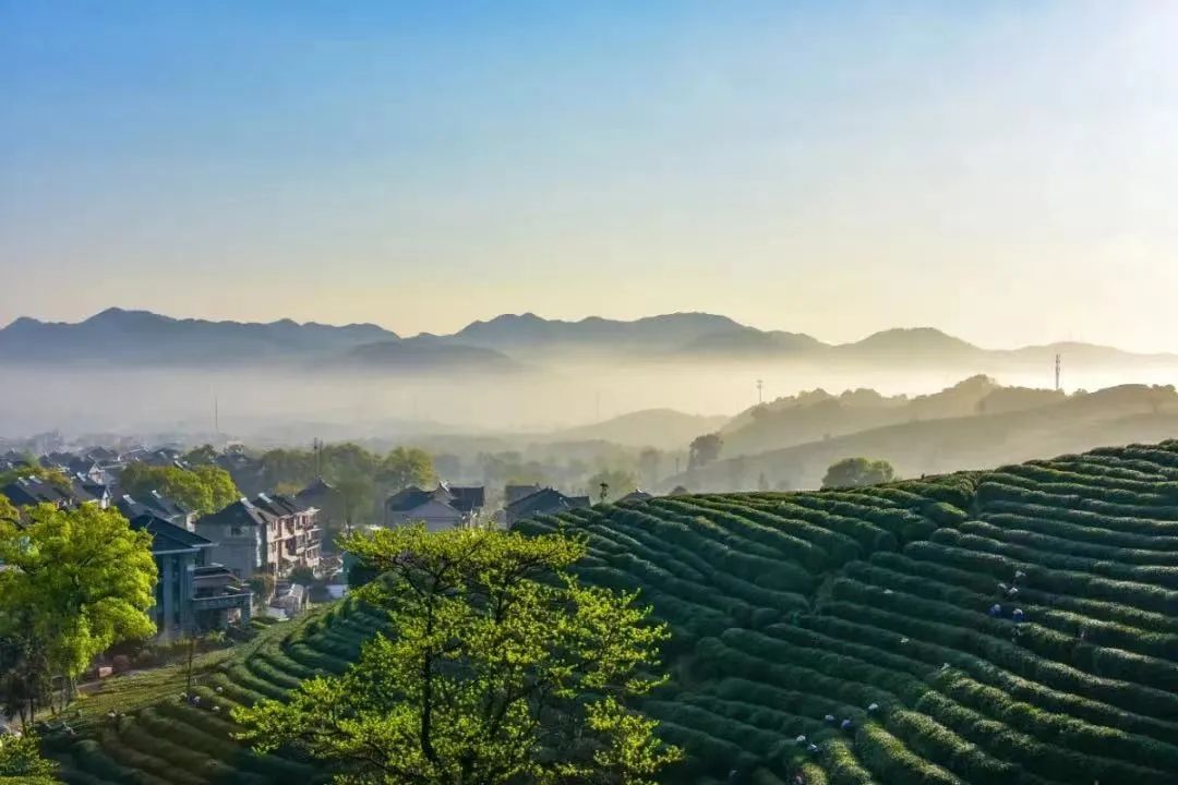 南宁景点周边哪里好玩_柳州周边那些景点好玩_杭州周边好玩的旅游景点推荐