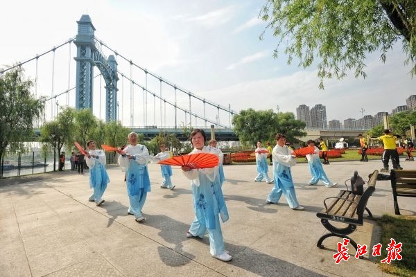 武汉江滩公园的芦苇图片_武汉江滩公园酒店_武汉江滩公园