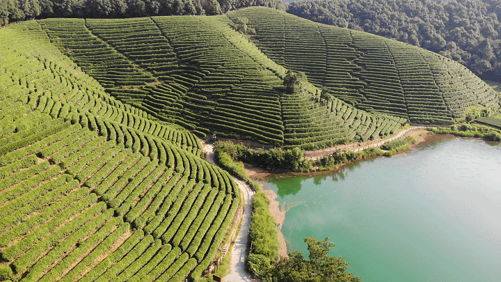 杭州周边山水景点_杭州周边免费古镇景点_杭州周边景点