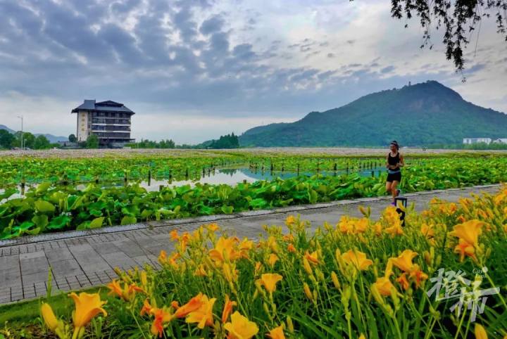 杭州周边山水景点_杭州周边免费古镇景点_杭州周边景点
