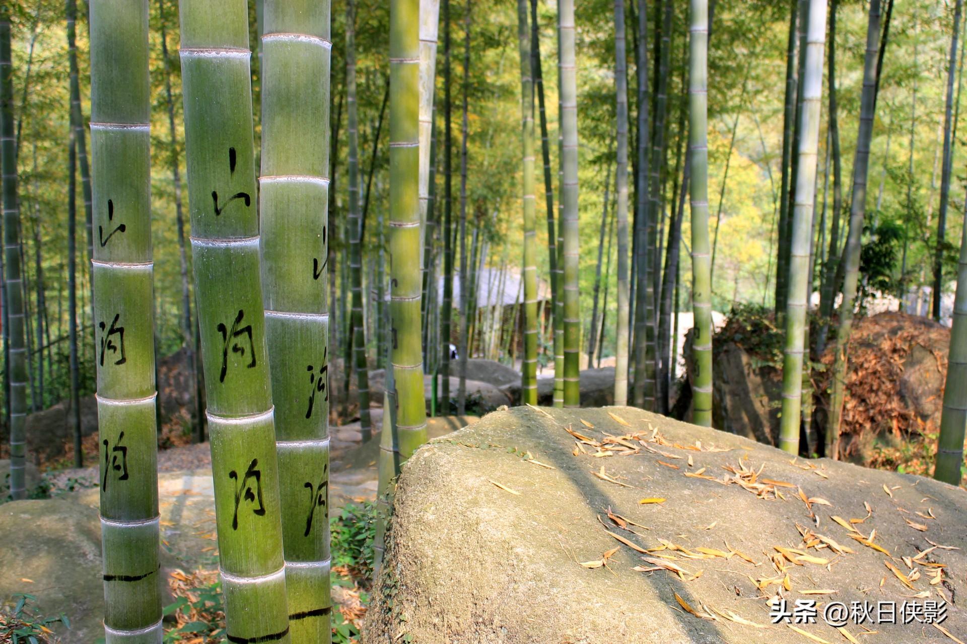 杭州周边自驾免费景点_杭州周边景点_杭州周边二日游景点