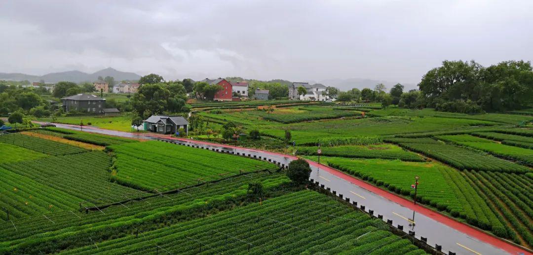 杭州周边景点_杭州羊锅村周边有哪些景点_杭州周边免费古镇景点