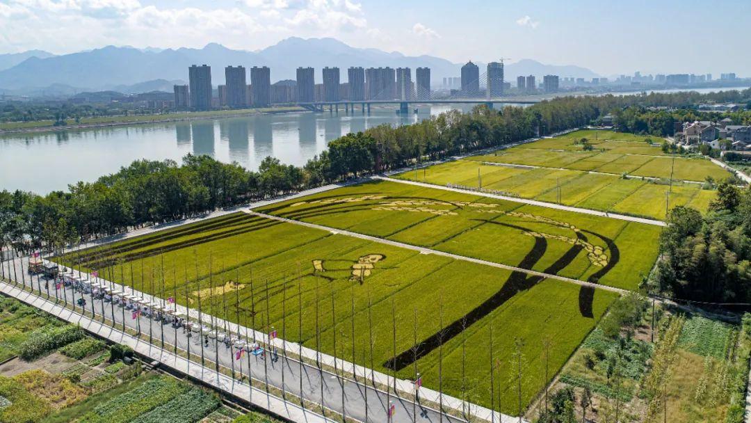 杭州周边免费古镇景点_杭州周边景点_杭州羊锅村周边有哪些景点