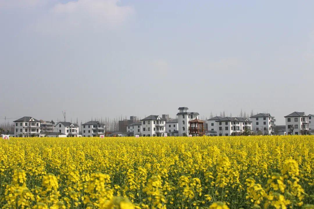 杭州羊锅村周边有哪些景点_杭州周边景点_杭州周边免费古镇景点