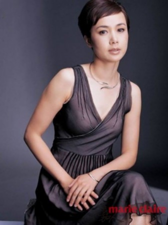 杨幂姚晨王宝强 一夜走红明星天价片酬曝光(图)