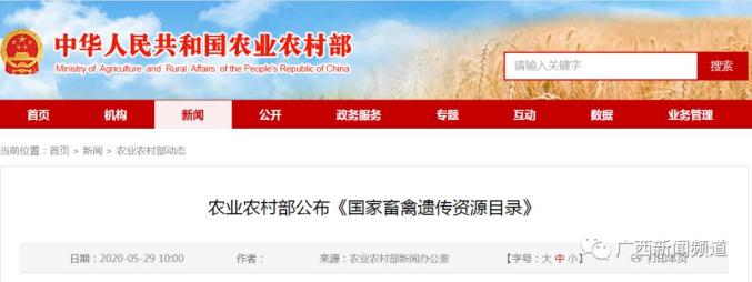 狗图片大全品种_名狗大全狗品种介绍及图片_品种狗小时候图片大全