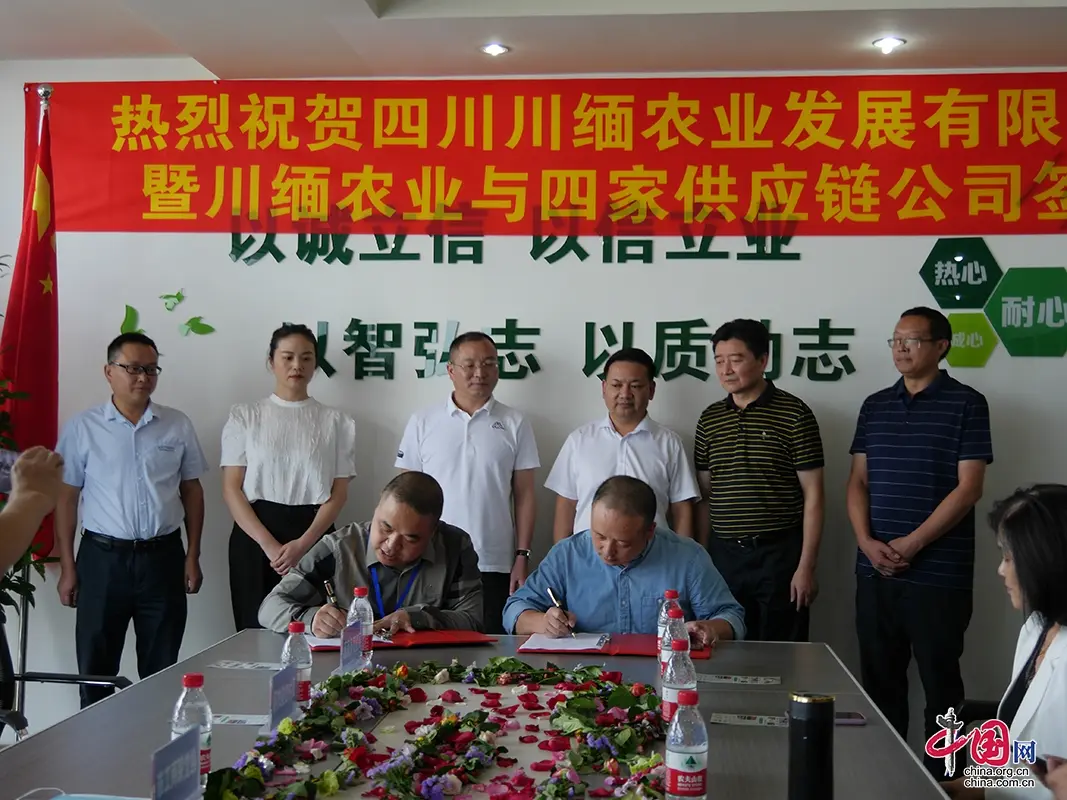 扫毒里的缅娜是真的人妖吗?_缅川是什么地方_缅川特别行政区区旗