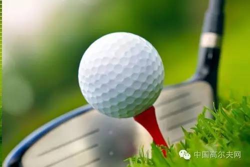 电鱼单杆好还是双杆好_台球用品 皮头 杆咀低价出售_口碑最好的台球杆