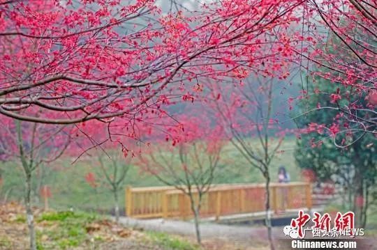 桂林市有几个区和县_江苏有哪些市和县_云南有哪些市和县