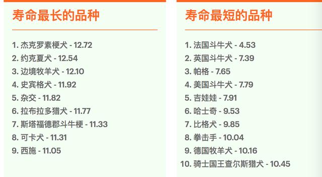研究结果 网络图片