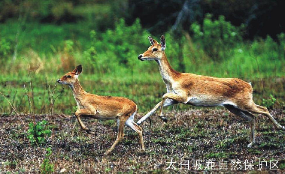 多天涯喜欢海海角么?_天涯海角论坛_你的天涯我的海角txt