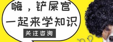 宠物店狗寄养价格_宠物狗_狗博士宠物美容学校
