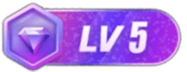 等级-LV5-娜娜项目网