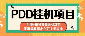 拼多多挂机项目 引流+赚钱双重收益项目(保姆级教程小白可上手实操)