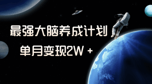 冷门虚拟项目，最强大脑养成计划，一个月变现2W＋