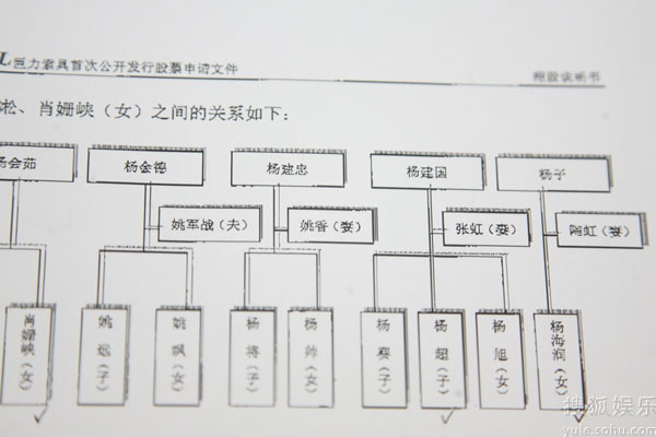 巨力上市杨子身价五亿 "隐身"妻女终被曝光