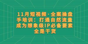 11月短视频·全案操盘手培训：打通自然流量 成为想象级IP必备要素 全是干货
