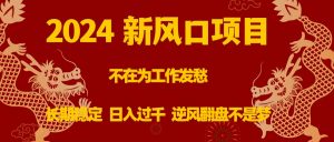 2024新风口项目，不再为工作发愁，长期稳定，日入过千 逆风翻盘不是梦