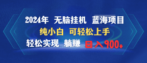 2024年无脑挂机蓝海项目 纯小白可轻松上手 轻松实现躺赚日入900+