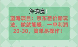 越早知道越能赚到钱的蓝海项目：京东大平台操作，一单利润20-30，简单易操作！