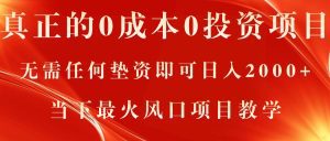 真正的0成本0投资项目，无需任何垫资即可日入2000+，当下最火风口项目教学