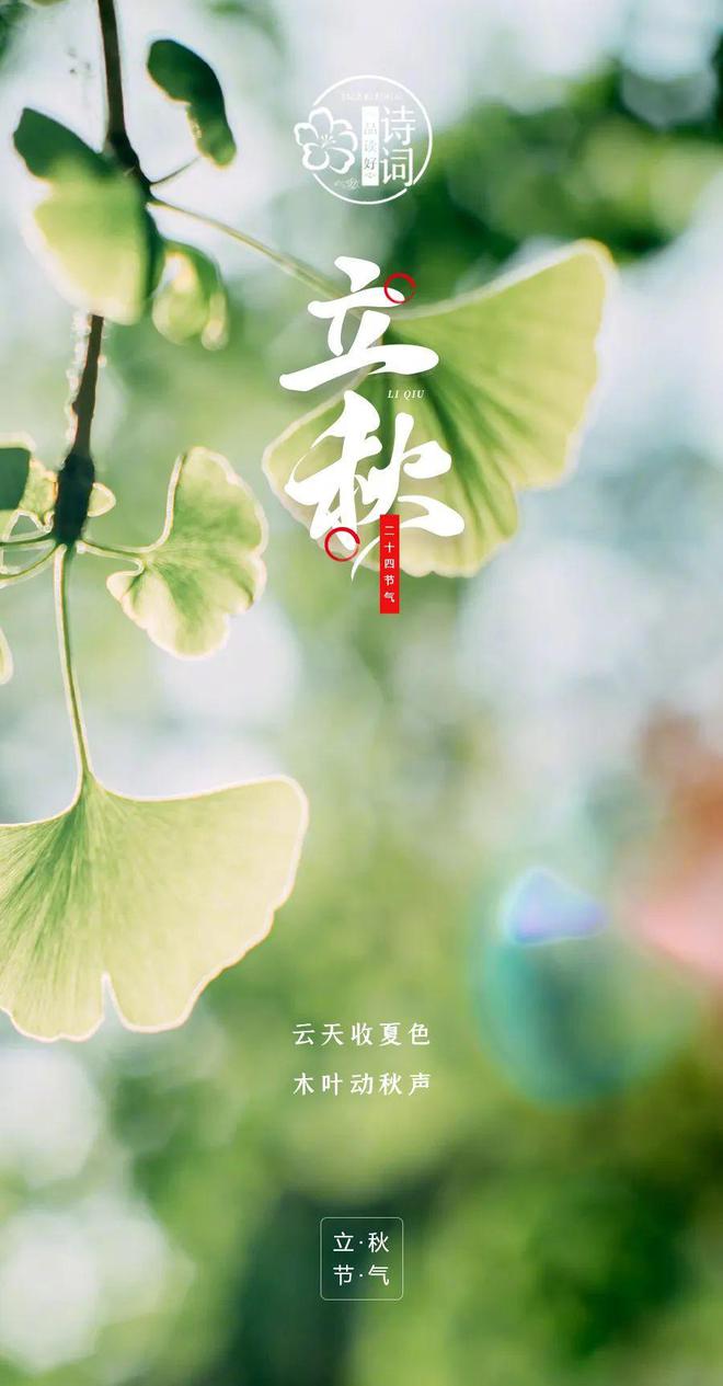 【美文美图】立秋 | 秋意渐浓,立秋之美!