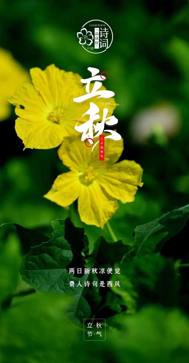 【美文美图】立秋 | 秋意渐浓,立秋之美!