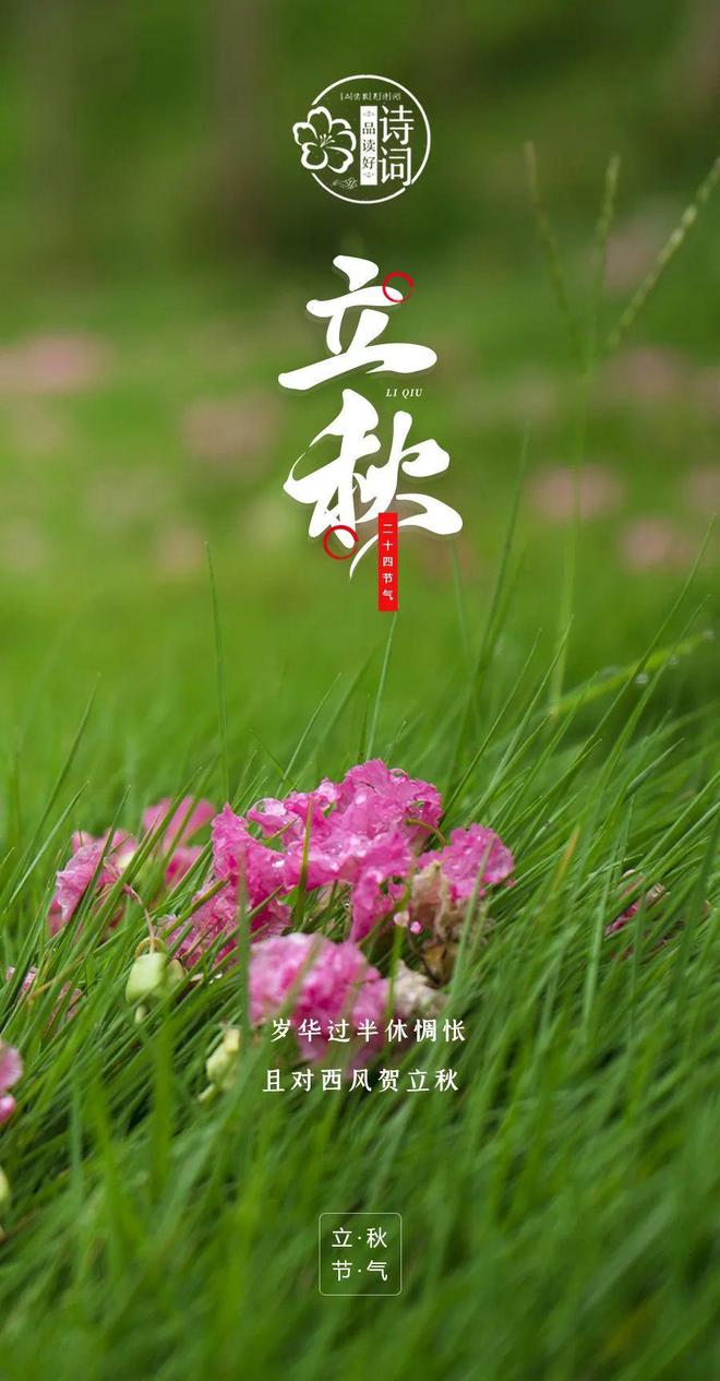 【美文美图】立秋 | 秋意渐浓,立秋之美!