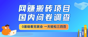 网赚搬砖项目，国内问卷调查，0基础看完就会 一天轻松三四百，靠谱副业干就完了