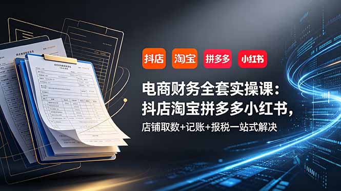 电商财务全套实操课:抖店淘宝拼多多小红书,店铺取数+记账+报税一站式解决-娜娜项目网