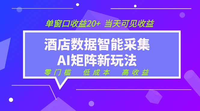2026酒店数据采集ai智能矩阵新风口 低成本 高收益 当天见收益 单窗口20+-娜娜项目网