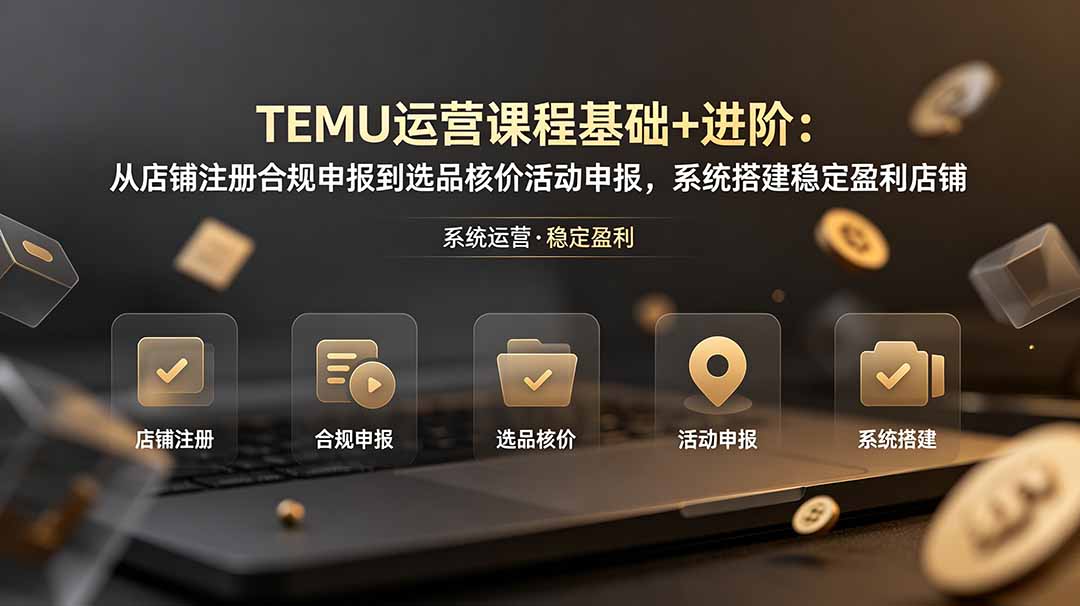 TEMU运营课程（基础+进阶）：从店铺注册合规申报到选品核价活动申报，系统搭建稳定盈利店铺-娜娜项目网