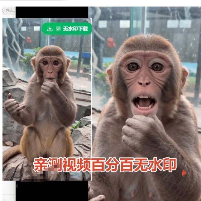 图片[1]-豆包无水印下载终于来了！支持豆包图片/视频，目前唯一免费使用的插件，浏览器拓展-娜娜项目网