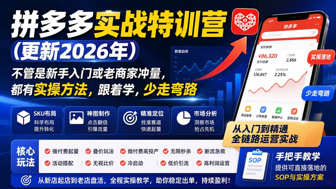 拼多多实战特训营(更新2026年):不管是新手入门或老商家冲量,都有实操方法,跟着学,少走弯路-娜娜项目网