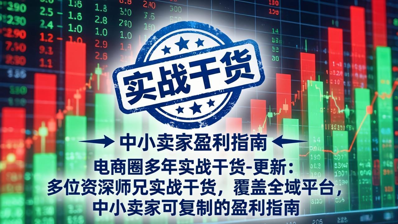 电商圈多年实战干货-更新2026:多位资深师兄实战干货/覆盖全域平台,中小卖家可复制的盈利指南-娜娜项目网