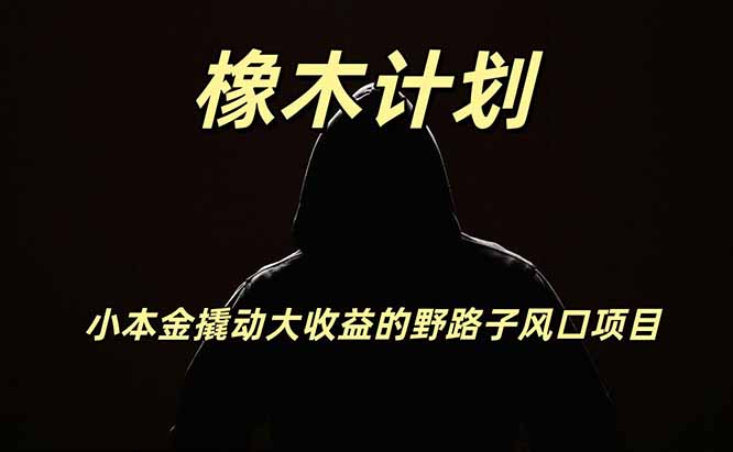 橡木计划，小投入撬动高回报的风口野路子项目，一天投入2小时左右-娜娜项目网