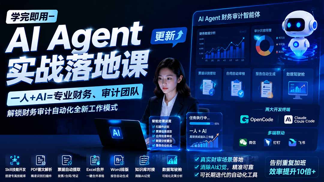 学完即用—AI Agent实战落地课-更新:一人+AI=专业财务、审计团队,解锁财务审计自动化全新工作模式-娜娜项目网